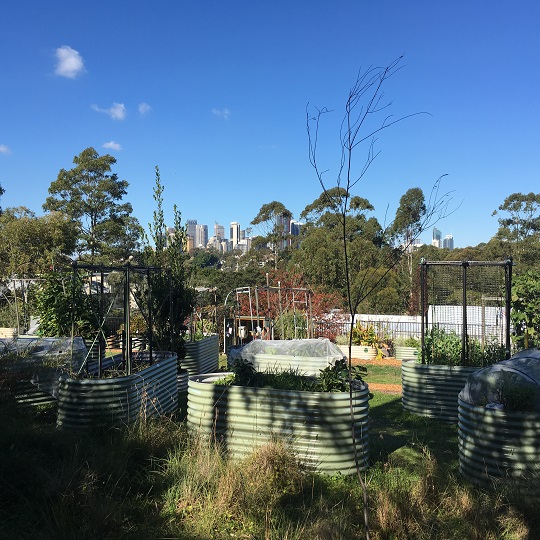 Mort Bay Community Garden